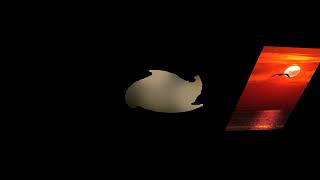 Ahmet Avcı Sallama Üç Ayak Yeni Potpori