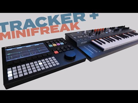 Tracker + MiniFreak Impressions and Demo