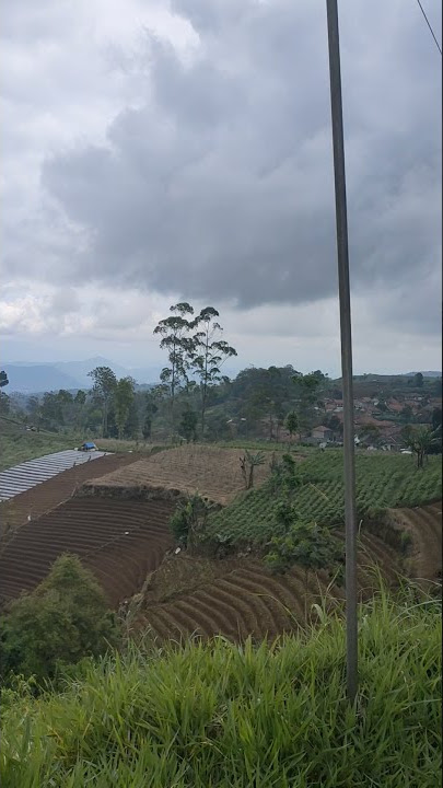 VIEW dari Akses Jalan menuju SITU SANGIANG TALAGA