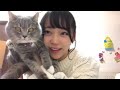 土路生優里(STU48)2018年11月3日SHOWROOM の動画、YouTube動画。
