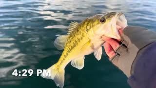 January Bass Fishing on Lake Keowee