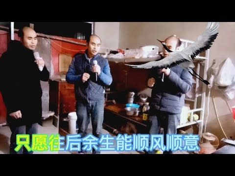 《唱的好像是自己》几十年人生苦乐都已经历只愿余生能顺风顺意
