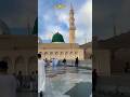 mai bhi madina dekhu 🥰 viral #shortvideos