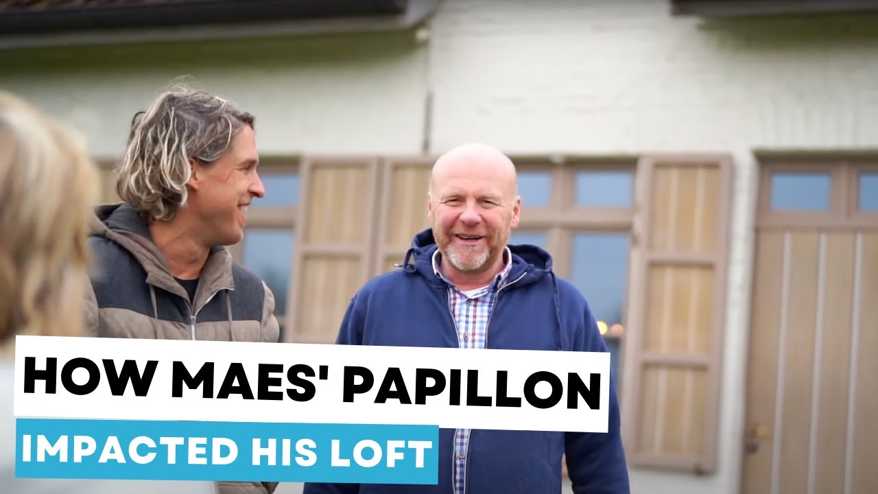 Anthony Maes' Papillon: How One Top Hen Impacted His Loft