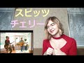 スピッツ - チェリー |MV Reaction/リアクション|