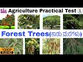 FOREST TREES ಕ ಡ ಮರಗಳ Agriculture Practical Exam Kannada English KCET Practical Exam YM 