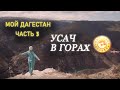 Мой Дагестан | ЛОВИМ УСАЧА И СМОТРИМ КРАСОТЫ! | Часть 3