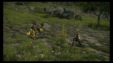 FFXIV: Heavensward - Setsuna Novak (Monk VIII - Let