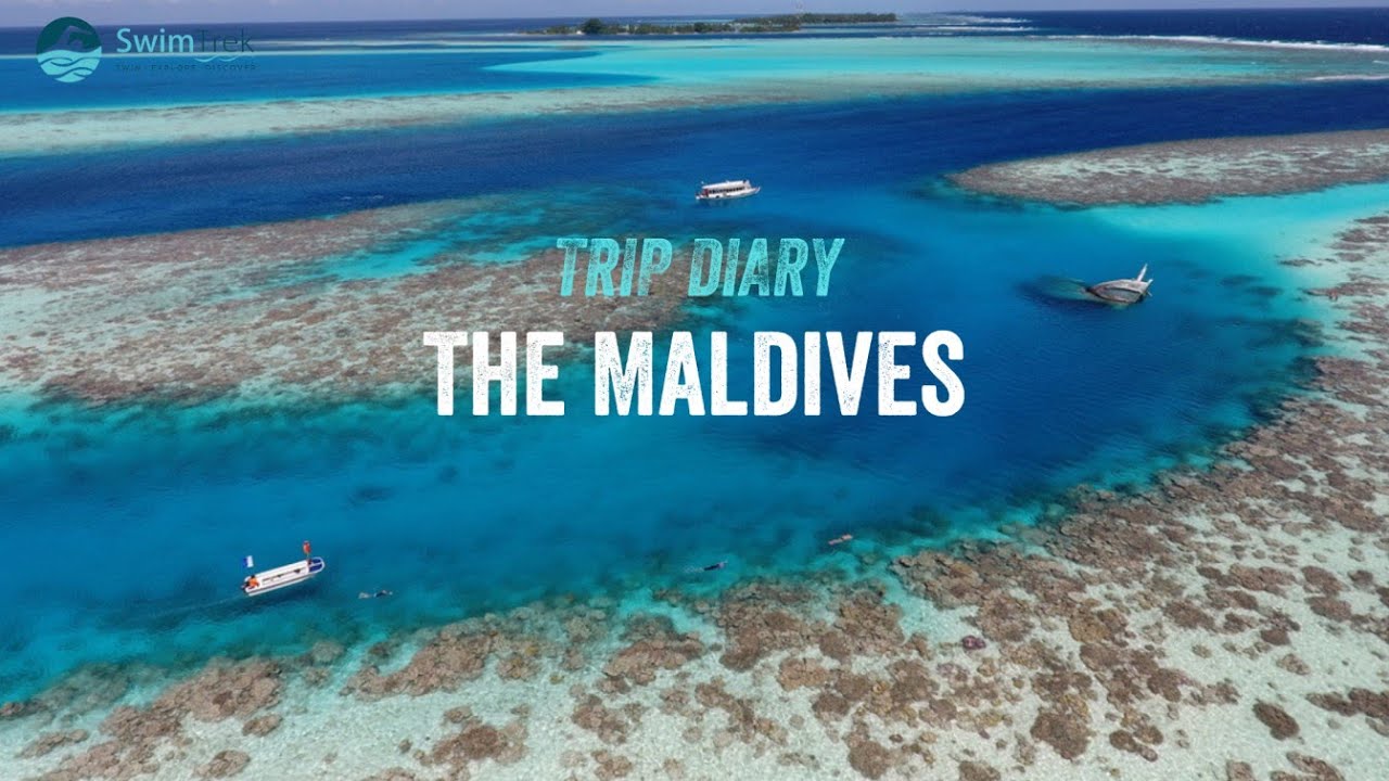 The Maldives | SwimTrek Trip Diary