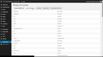 Demo #8: Simple Files WordPress Plugin Updated version 1.8+