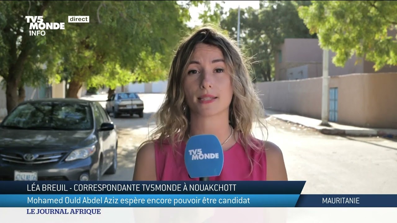 Mauritanie : Mohamed Ould Abdel Aziz espère être candidat