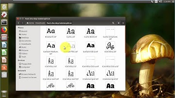 [Ubuntu] Cách cài đặt tiếng Việt và Font chữ