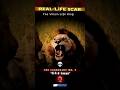 This Lion Was a Legendary Villain: Mr. T
