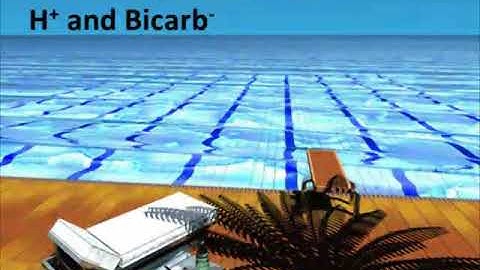 EMCrit Podcast 20110411 44 Acid Base 1