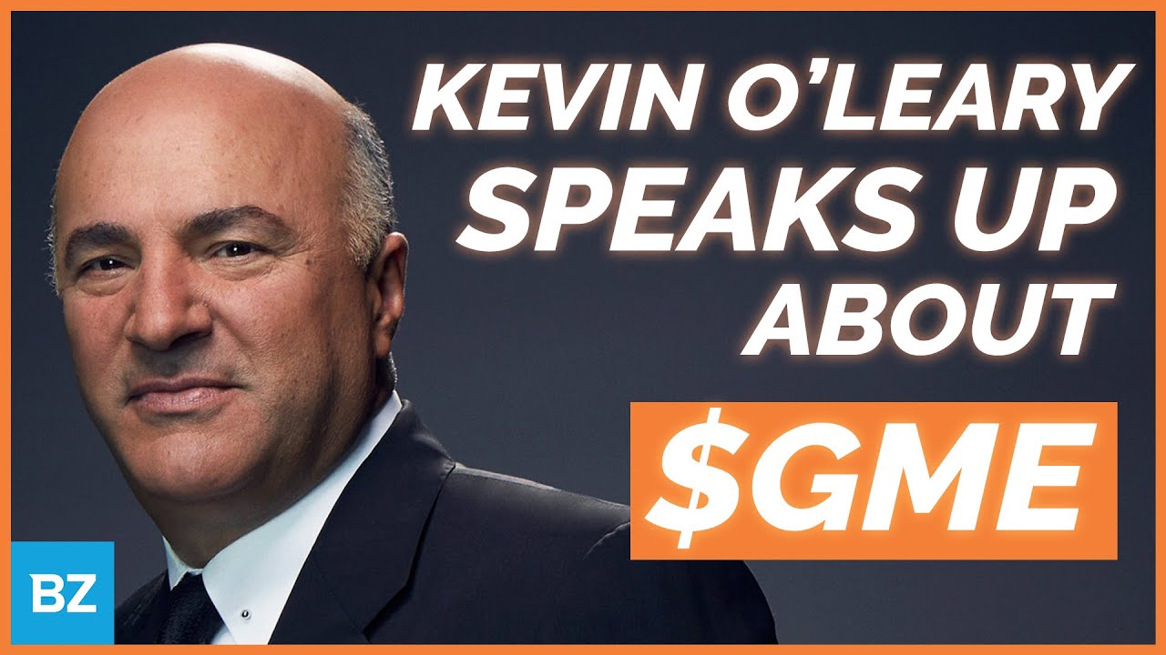 Kevin O Leary Siding W The Smaller Investor Gme Zingernation Youtube