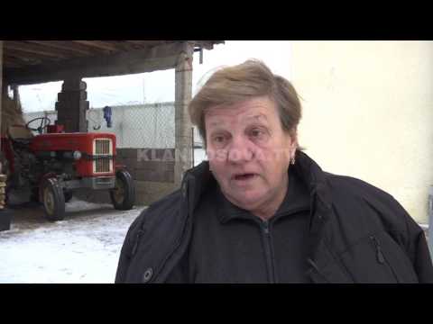 Video: Gërmues Patatesh Për Traktorin Ecës 