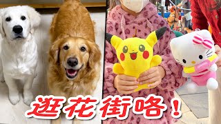 Going to Guangzhou to go shopping in the flower street, the dog's New Year's gift is also available