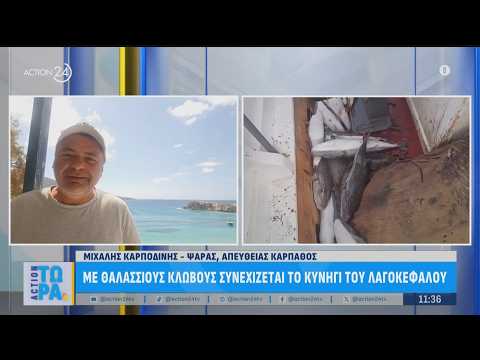 Με θαλάσσιους κλωβούς συνεχίζεται το κυνήγι των λαγοκέφαλων | ACTION 24