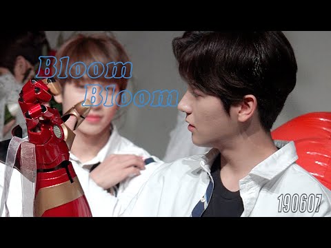 더보이즈190607 현재  bloom bloom 세로 직캠