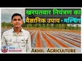 Mulching paper  uses  benefits  mulching  drip irrigation system  akhil agriculture