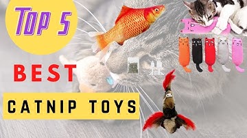 Catnip Toys - The Best Catnip Toys 2021