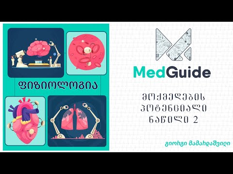 Medguide/მედგიდი - ფიზიოლოგია: მოქმედების პოტენციალი (ნაწილი 2)