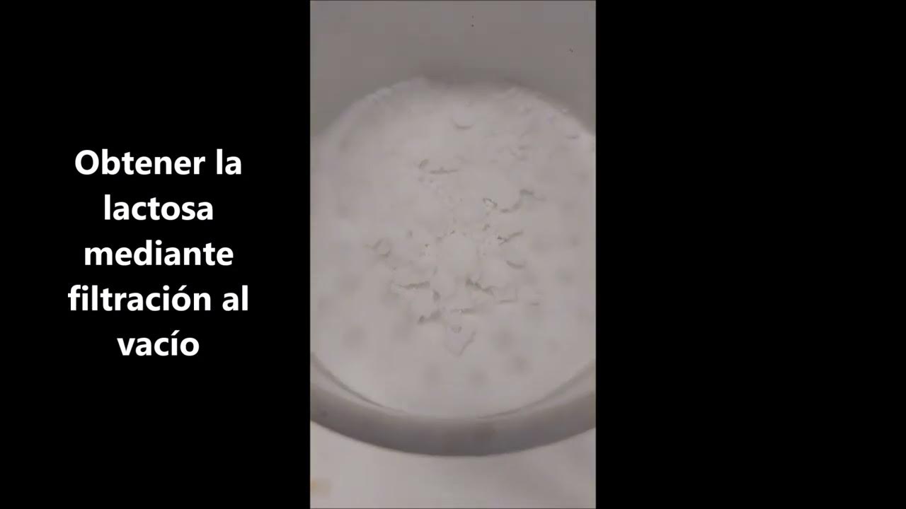 Determinación de lactosa en leche. Parte 3.Filtración al vacío de la ...