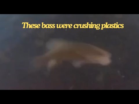 Ultralight Bass fishing