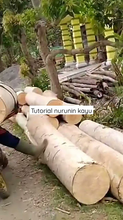 cara nurunin kayu tanpa bantuan #ojek palang