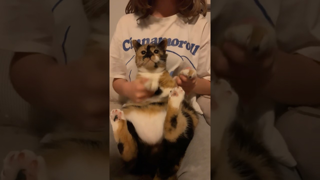 She was totally fed up at the end. Nothing a bit of liquid candy can’t fix. 🤣