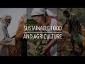 FAO Policy Series: Sustainable Food and Agriculture