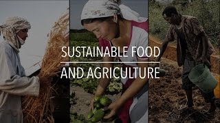 FAO Policy Series: Sustainable Food and Agriculture