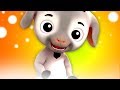 bebek keçi | lagu anak anak terpopuler | sajak untuk anak-anak | lagu anak-anak | Baby Goat