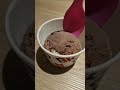 Ice cream  vlog subscribetomychannel