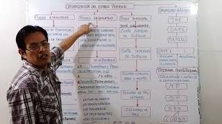 ORGANIZACION ESTADO PERUANO