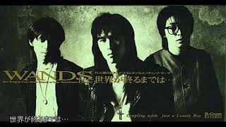 WANDS    世界が終わるまでは…