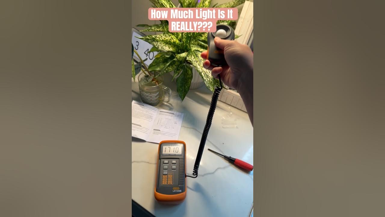 Measuring How Much Light My Plants REALLY Get shorts plants 