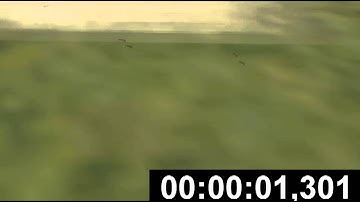 My Fast +C Bug. [1,301]