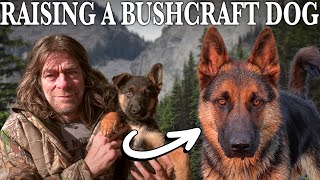 Survival Expert Raises Puppy into Bushcraft Dog