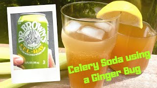Celery Soda Dr. Browns Cel-Ray Copycat Using A Ginger Bug