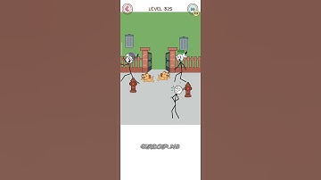 Thief Puzzle Level : 324