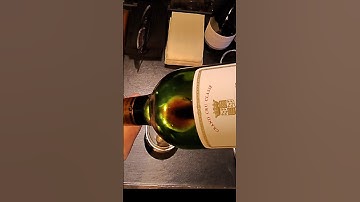 Opening & Decanting $675 2000 Chateau Talbot #pov #fyp #trending #viralvideo #asmr #explore #wow