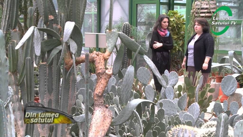 Gradina Botanica din Bucuresti - partea 2