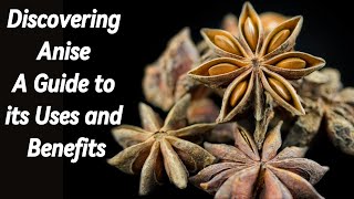 Discovering Anise A Guide to its Uses and Benefits