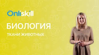 БИОЛОГИЯ 7 класс : Ткани животных | Видеоурок