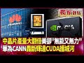 華為的成功與挑戰