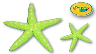 Image of Starfish Modelling
