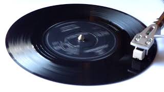 Beatles - Day Tripper - Vinyl Play screenshot 5