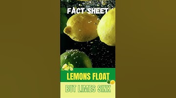 Lemons float, but limes sink #shorts #youtubeshorts #facts