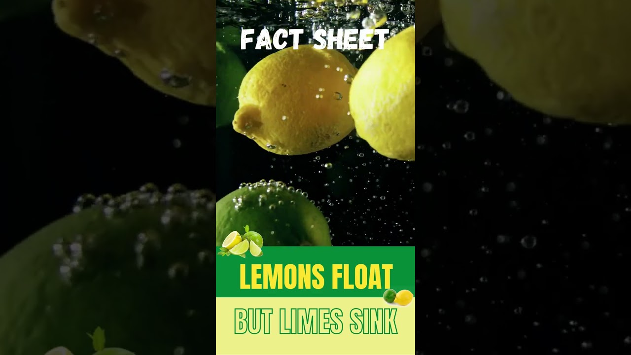 Lemons float, but limes sink 